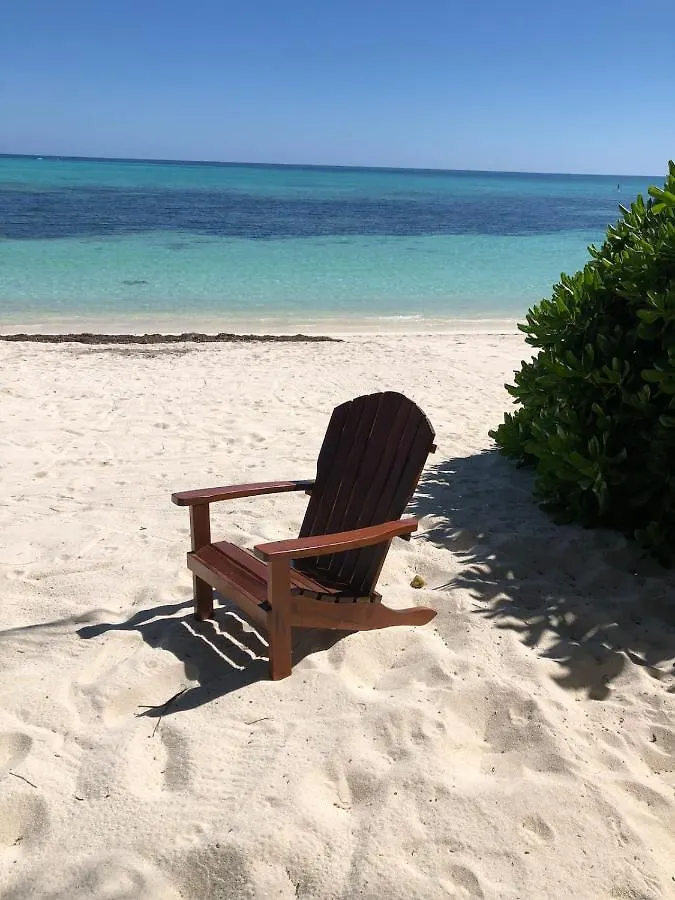Beachfront Bungalows- Soliman Bay Τουλούμ Σπίτι διακοπών